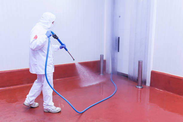 Best Graffiti Removal Services in Mdleton, ID